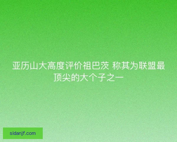 亚历山大高度评价祖巴茨 称其为联盟最顶尖的大个子之一
