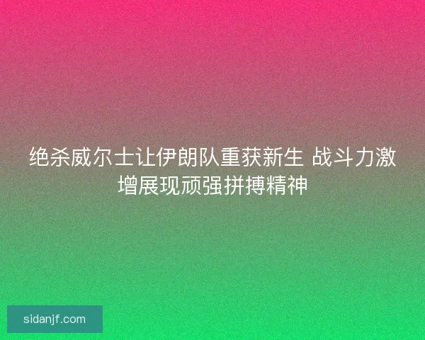 绝杀威尔士让伊朗队重获新生 战斗力激增展现顽强拼搏精神